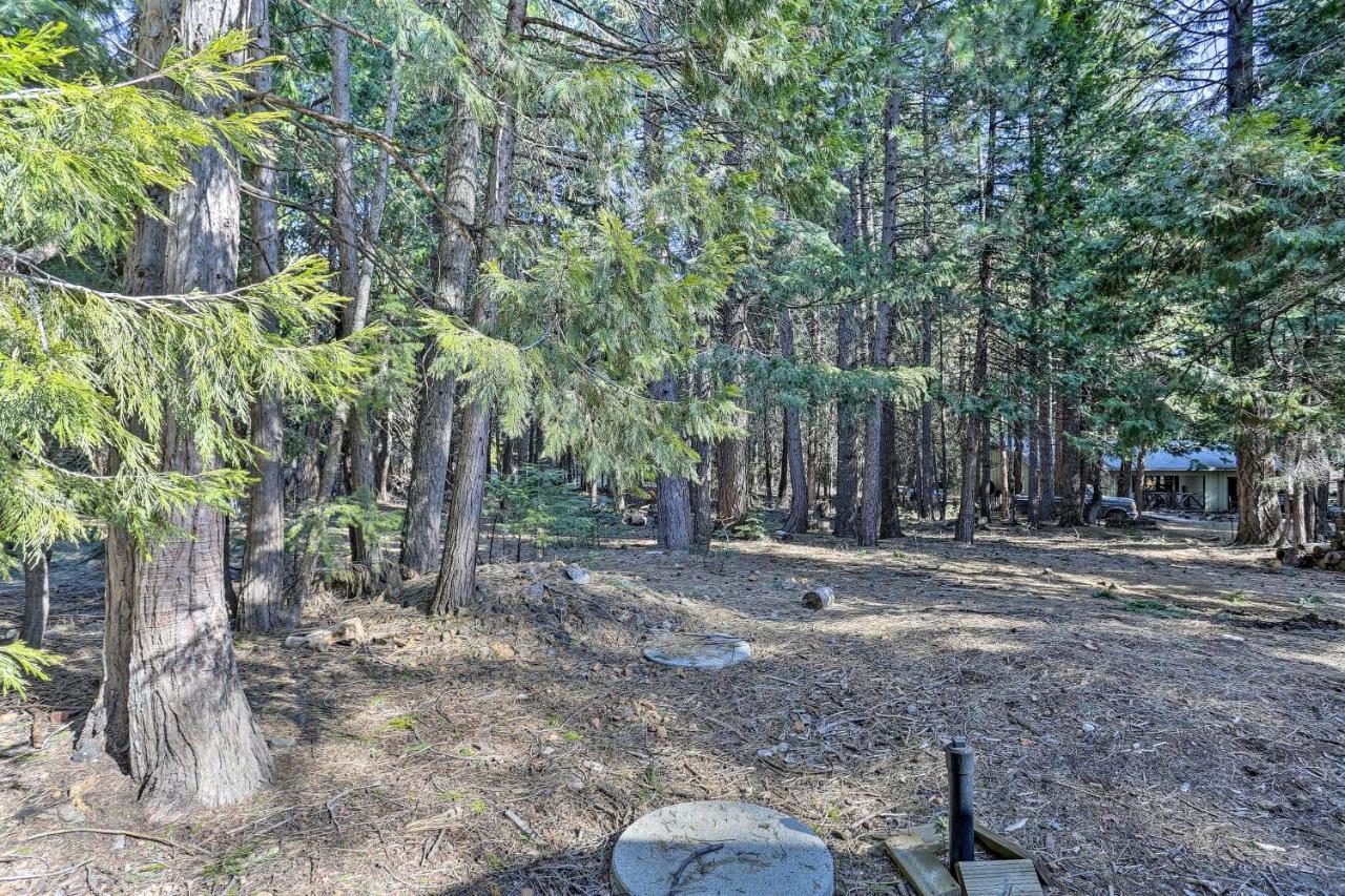 Base Camp Lassen Home 13 Mi To Volcanic Natl Park Shingletown エクステリア 写真