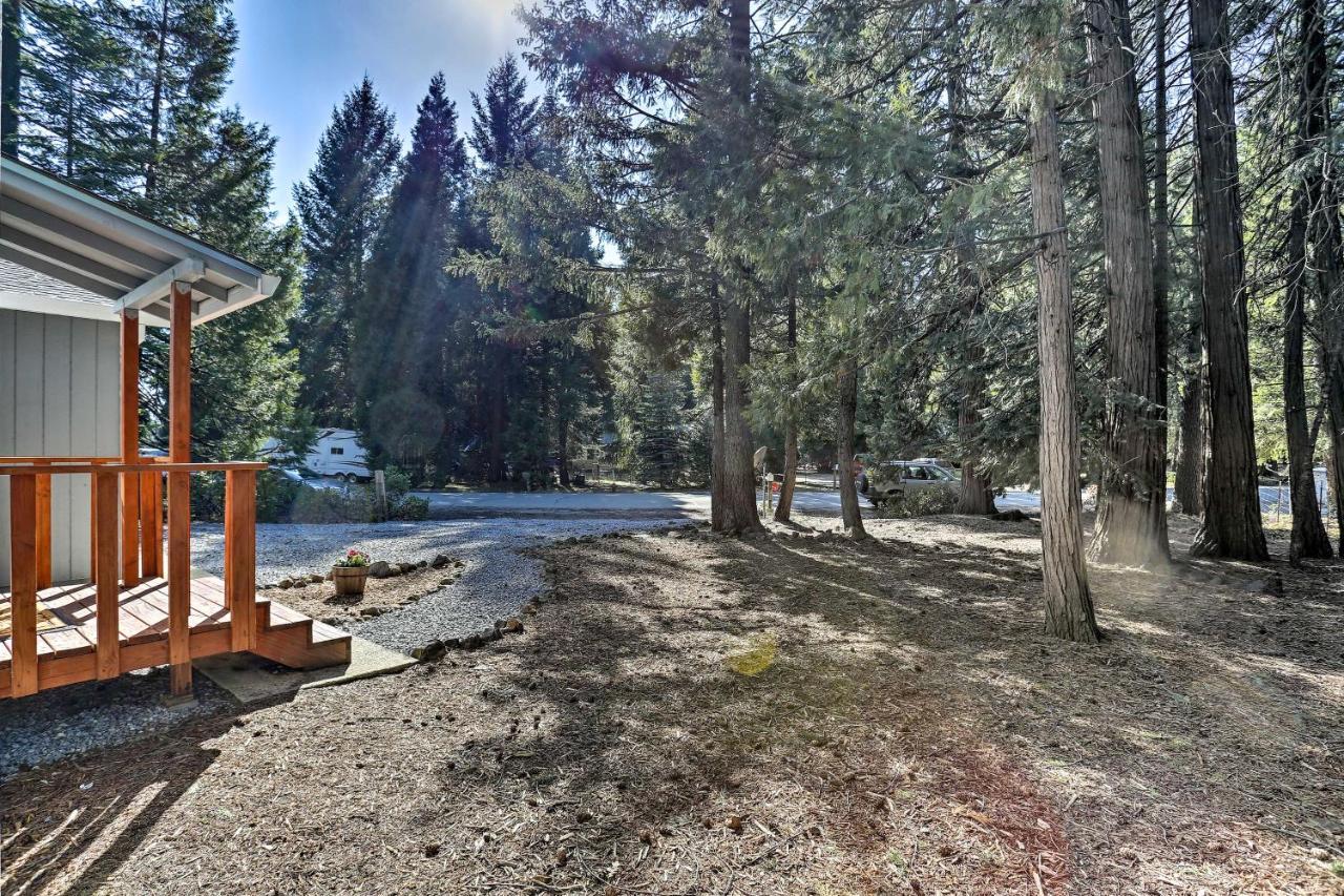 Base Camp Lassen Home 13 Mi To Volcanic Natl Park Shingletown エクステリア 写真