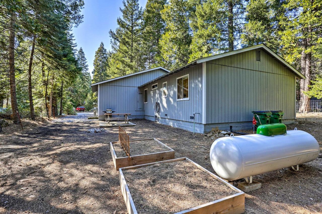 Base Camp Lassen Home 13 Mi To Volcanic Natl Park Shingletown エクステリア 写真